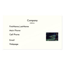 Business Card / Bullfrog