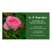 BUSINESS CARD, FLORAL, DEEP  PINK ROSE, PHOTOG.