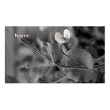 Business Card  Pea Vine 2