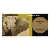 Business card profile elephant safari customizable