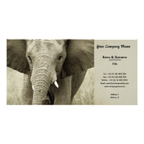 Business card profile safari hunting game lodges