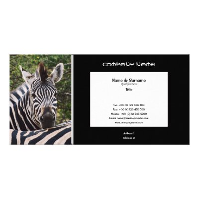 Business card profile zebra safari customize by Rowood