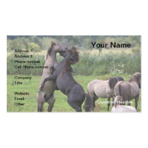 business card roaring wild stallions