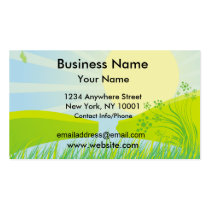 Business Card Spring Pond business cards