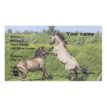 business card wild stallions