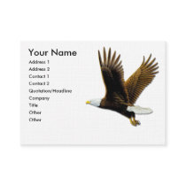 Business Cards, American Bald Eagle