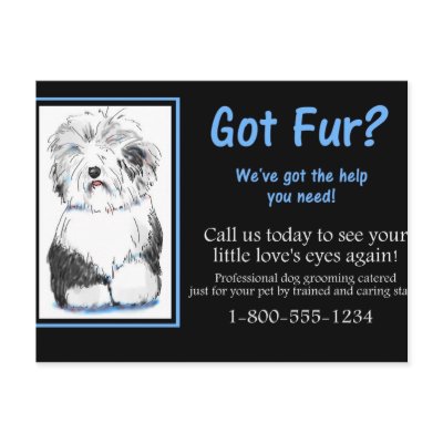 Business Dog Grooming Postcard Client Relations by icansketchu