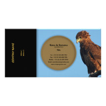 Business profile raptors eagles bateleur photo greeting card