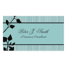Business & Web Consultant Business Card