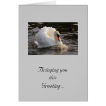 Busking Swan
