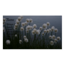 Bussines card business cards