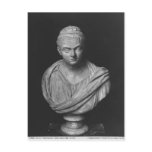 Bust of Julia Mamaea Postcard