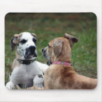 buster and jade 3 mouse pad