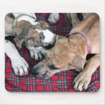 buster and jade mouse pads