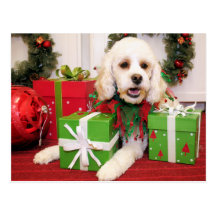 Buster - Cockapoo - Meyer Postcards