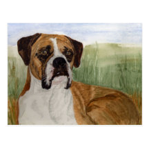 'Buster' Postcard