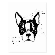 buster rough post card