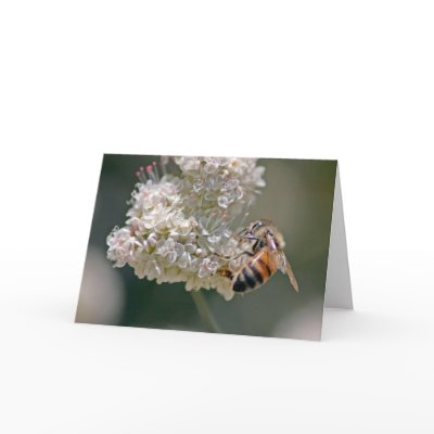 Busy as a Bee Card by digitaldave777