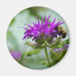 Busy Bee Fridge Magnet