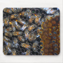 Busy Bee MousePad