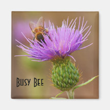 Busy Bee On Purple Thistle Close Up Photograph Fridge Magnet