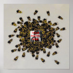 Busy Bee PHOTO INSERT ~ Print / Poster