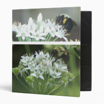 Busy Bees Binder