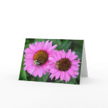 Busy Bees cards
