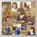 Busy Bluebirds poster