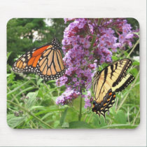 Busy Butterflies ~ mousepad mousepads