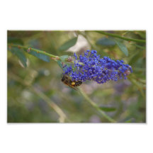 Busy Day Photograph