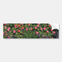 Busy Lizzy (Impatiens Wallerana) flowers Bumper Sticker
