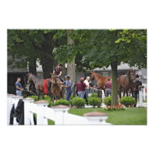 Busy Morning at the Phipps Barn Art Photo