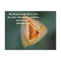 But the fruit of the Spirit is love, joy, peace, l Postcard