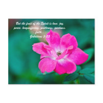 But the fruit of the Spirit is love, joy, peace, l Post Card