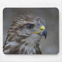 Buteo de Buteo Tapis De Souris