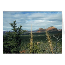 Butte Sedona Arizona de capitol Cartes De Vœux