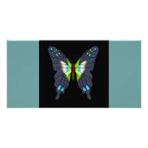 butteflies and moths photo card template