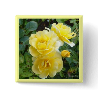 Butter Cream Roses Pin by CaroleArt