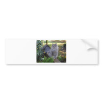 Butter on the porch railing bumper stickers
