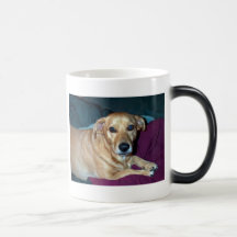 Butterbean, Butterbean, Butterbean,Best little ... Coffee Mugs