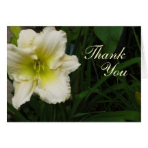 Buttercream Lily Thank You Greeting Card