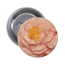 buttercream rose pin