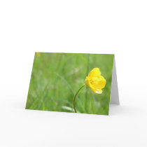 buttercup cards