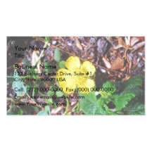 Buttercup Flower Business Card