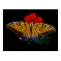 Butterfaly Fractal Tiger Swallowtail Postcard