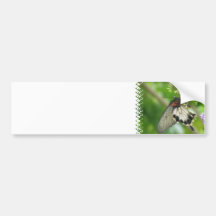 Butterflies and Flowers  Bumper Stickers