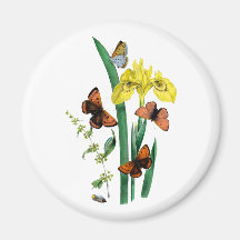 Butterflies and Yellow Iris Fridge Magnets