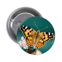 Butterflies are free buttons