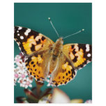 Butterflies are free custom flyer